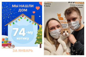 Милаш нашёл дом за три недели!