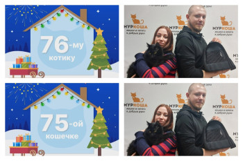 Кошечка Пирамидка и котик Подарок отправились домой!