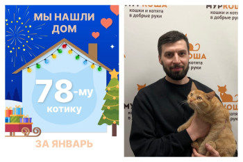 Котик Джинжер уезжает в новый дом!