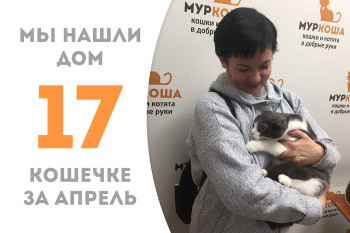 Теперь у Камчатки есть свой дом! 