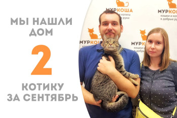 Четырёхлетний котик Караваджо обрёл семью! 