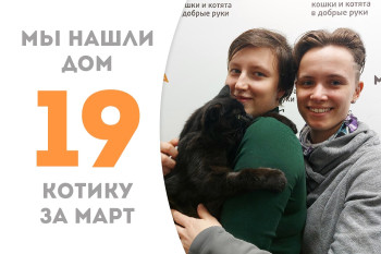 Котик Кардамон отправляется в счастливое будущее!