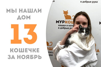 Малышка Катария за полтора месяца в приюте нашла себе добрую хозяйку!
