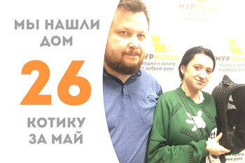 Девятимесячный котик Кайсталь уехал в дом к своим людям и к нашей выпускнице Лагуне! 