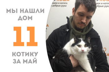 Котик Хайтао стал домашним! 