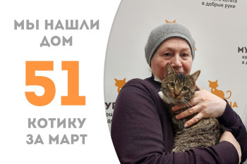 Девятимесячный котик Хэнк обрёл свой дом!