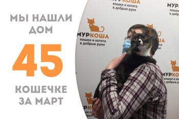 Кошечка Клёпа уезжает в новый дом!