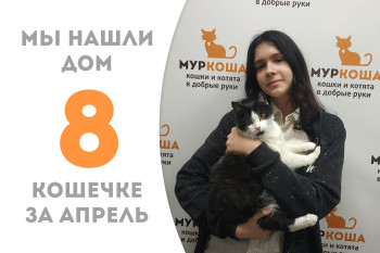 Шестилетняя Коффа уехала домой!
