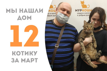 Котик Кольваро начинает домашнюю жизнь!