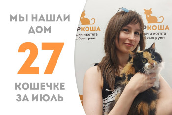 Для трёхлетней кошечки Кометки с нелёгкой судьбой нашлась замечательная хозяйка! 