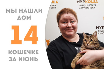 Двухлетняя кошечка Конфетти обрела добрую хозяйку! 