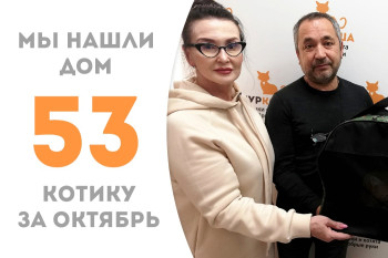 Пробыв менее месяца в приюте, пятилетний котик Крэй нашёл себе любящую семью и дом! 