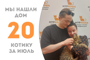 Роскошный Кристобаль взобрался в походную карету и махнул нам лапкой на прощание! 