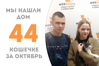 Чуть более трёх месяцев понадобилось крошке Кроксе для поиска своих людей! 