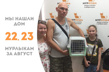 Брат и сестра – котик Круня и кошечка Кайра уезжают жить вместе в замечательную семью! 