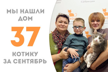 Котик Лапуш обрёл настоящую семью и названного брата всего через четыре дня после возвращения в приют! 