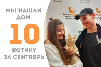 Всего за месяц с небольшим котёнок Ластик нашёл для себя семью! 