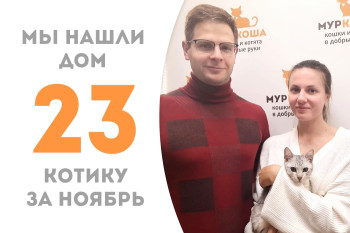 Котёнок Леденец, пробыв неделю в приюте, устроил свою судьбу и уехал домой! 