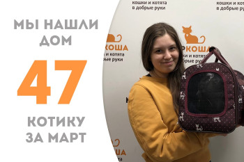 Кот Леонтий стал домашним!