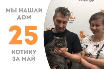 Трёхлетний котик Лотто нашёл себе семью и дом!