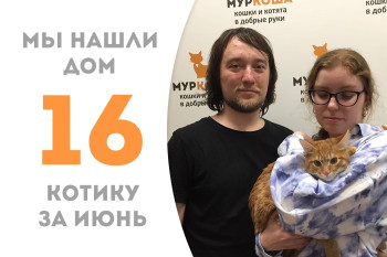 Девятимесячный котёнок Ловелас встретил свою семью! 