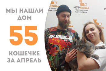 Кошечка Луизиана отправляется в новый дом!