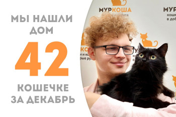 Трёхлетняя кошечка Лёлишна обрела своего человека и дом!