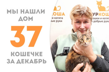 Менее трёх месяцев понадобилось малышке Магнолии для поиска своего человека!