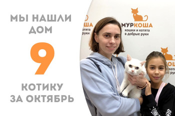 Семилетний Максир нашёл себе добрую семью и подругу, нашу недавнюю выпускницу, кошечку Ваксу!