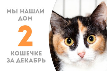 Семимесячная малышка Малипуся встретила своего человека! 