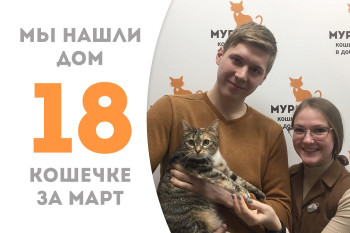 Очаровательная Мамзелька стала домашней!