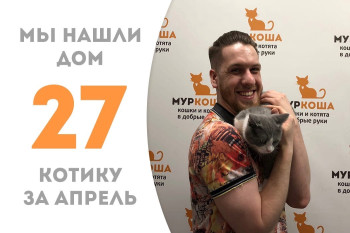 Котик Мантоша стал домашним за полтора месяца!