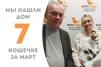 Кошечка Мартюшка стала домашней любимицей!