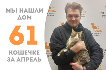 Кошечка Масюся уехала в новый дом!