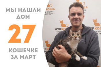 Кошечка Менхита встретила надёжного друга!