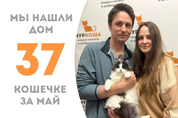 Годовалая кошечка Минни стала домашней! 