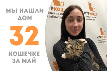 Годовалая кошечка Мисси встретила своё счастье! 