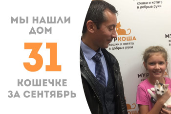 Кошечка Мкада, спасённая с МКАДа, пробыв месяц в приюте, нашла для себя добрую семью!