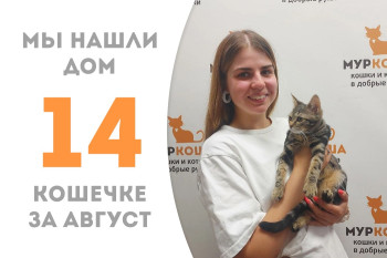 Трёхмесячная кошечка Мурри обрела любящую хозяйку менее чем за месяц в приюте!