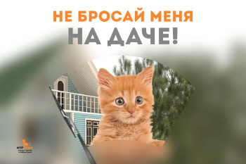 Не бросайте питомцев на даче!