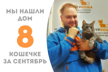 Годовалая кошечка Новелла отправилась в домашнюю жизнь! 