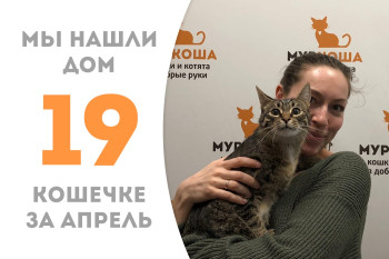 Полуторогодовалая Октавия отправилась в счастливую домашнюю жизнь! 