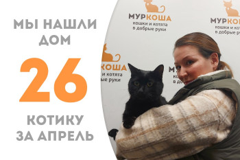Котик Олежик нашёл новый дом за месяц! 