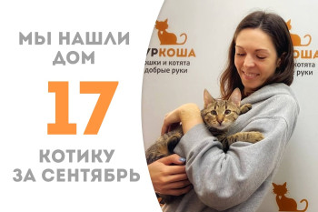 За два месяца в приюте котёнок Освальд нашёл для себя любящую хозяйку! 
