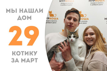 Котик Отважный рад познакомить со своей семьёй!