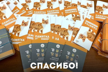 Время пушистых новостей 
