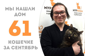 Бывшая уличная трёхлетняя кошечка Паприка стала домашней! 