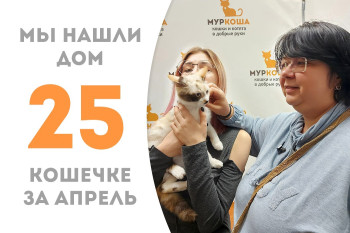 Милая Пикасса стала домашней за полтора месяца! 