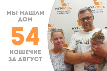 Котёнок Пикса обрела домашнее счастье спустя месяц в приюте! 