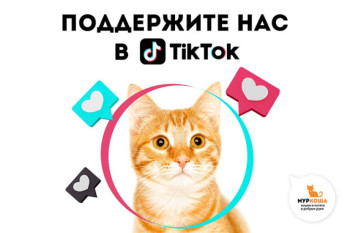 А вы уже видели наши новые клипы в ТикТоке?